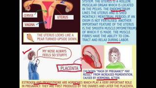 THE NEW NURSE  HORMONES and THE ENDOCRINE SYSTEM [upl. by Marius658]