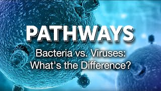 Pathways Bacteria vs Viruses Whats the Difference [upl. by Hungarian]