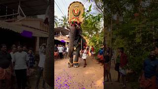 Guruvayoor rajashekaran 😍rokybhai [upl. by Catlin]