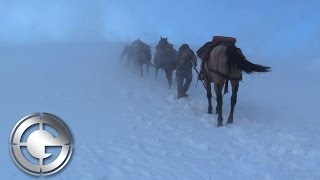 High Country Wyoming Elk Hunt [upl. by Suilenrac]