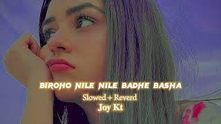 Biroho Nile Nile Badhe Basha  Slowed  Reverd  Balam  Song  Use Headphone 🎧 [upl. by Abagail]