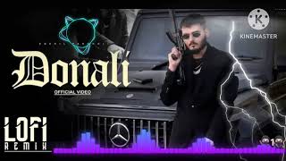 Donali Lofi Remix  Lyrical Snehil Pancholi ° Karam Brar  Latest Punjabi Songs 2024 [upl. by Oiracam325]