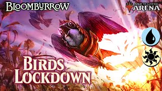 Locking Down Birds tribal for the meta  Azorius  Standard Ranked  Bloomburrow [upl. by Nahguav153]