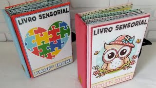 Livros sensoriais em eva com atividades personalizadas para crianças livros da professora Irani [upl. by Learsiy]