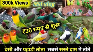 Bharat ka sabse sasta chidiya bajar Indias most cheapest bird market [upl. by Orose123]