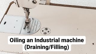 Oiling an Industrial Sewing machine Draining the oil Filling up the Oil Two lion sewing machine [upl. by Wiebmer]