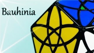 Bauhinia Dodecahedron  Review  Español [upl. by Buehrer]