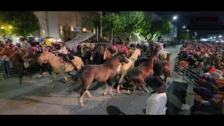 PASEO GAUCHO  DESFILE DE DELEGACIONES TROPILLAS EMPRENDADOS PAYADORES [upl. by Falzetta]