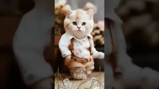 Cat 😸😸 ki guitar dhun cat dog youtubeshorts shorts [upl. by Alenson45]