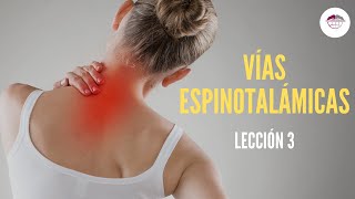 3 VÍAS ESPINOTALÁMICAS FISIOLOGÍA DEL DOLOR [upl. by Eillas]