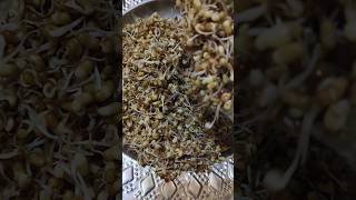 Healthy molake kaalu palya youtubeshorts trending sprouts palya [upl. by Milak]