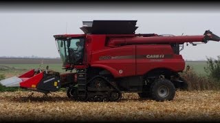 Case IH 9230 amp 8010  Corn harvest 2015 Uncut 25 [upl. by Arait]