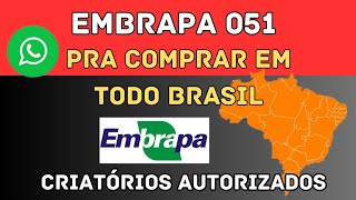 ONDE COMPRAR EMBRAPA 051 [upl. by Eibur]