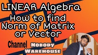 how to find Norm of a Matrix or vector in hindi [upl. by Duston339]