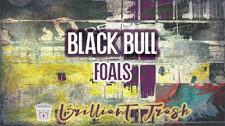 Foals  Black Bull karaoke [upl. by Refinaj]