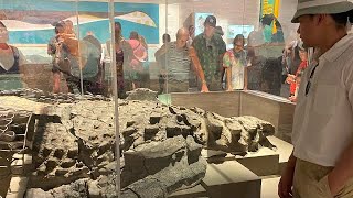 Drumheller dinosaur museum 🦖🦕capital of the world Alberta Canada reels fyp shorts viral [upl. by Aay750]