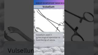 Vulsellum Image Base Question Norcet important mcq 💯ytshorts [upl. by Nahsin]