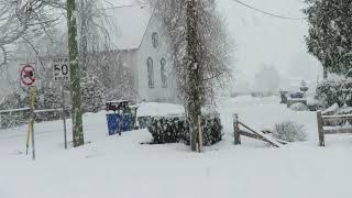 Snow Storm in Chilliwack February 22 2019 [upl. by Jeramey]