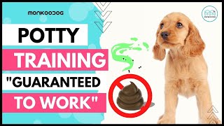 Step by step guide To POTTY 💩 Train Your Puppy 🐶 easily II Puppy Training tips II [upl. by Whale]