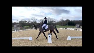 Carramore Boy British Dressage PetPlan Area Festival Novice Test 23 Parwood Equestrian 290122 [upl. by Ynolem]