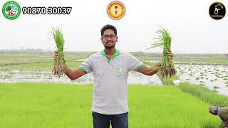 சோலைவனச் சீமையாகும் சிவகங்கை  90870 30037  Trending Sivagangai [upl. by Euh]