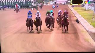 Dornoch WINS The 2024 Haskell Stakes [upl. by Bolling279]