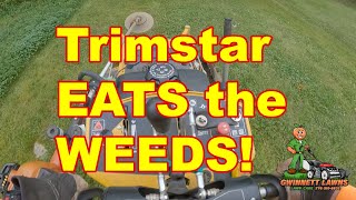 Hustler Trimstar Eats the WEEDS Watch me work [upl. by Treboh]