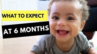 6 Month Developmental Milestones  Baby Developmental Milestones [upl. by Nnayram]