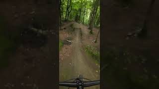 Step up at local woods mtb mtbpictureoftheday downhill [upl. by Ecyor607]