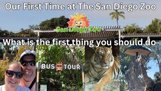 San Diego Zoo  This is the first thing you should do Bus Tour sandiego sandiegozoo zoo 4k [upl. by Ross]