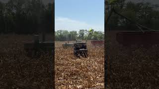 Corn Picking Action at the 2023 Half Century of Progress Show in Rantoul Illinois [upl. by Bein]