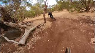 Legacy Trail The Goat Farm Mtb Park [upl. by Einot]