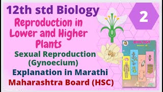 12th std biology Reproduction in lower and higher plants Part 2 MH board HSC [upl. by Yllib563]