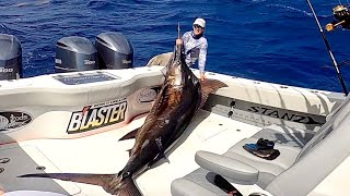 HUGE BLUE MARLIN Catch Clean Cook [upl. by Hajin]