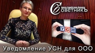 Заполнение уведомления о переходе на УСН для ООО [upl. by Ricki]