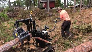 Järnhästen Flex Arborist [upl. by Casavant]