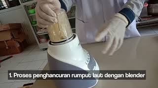 Selai Rumput Laut  Tugas Video Proyek Riki amp Aditya [upl. by Atirahs190]