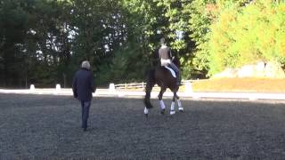 Schroeder Sandro Hit x Escudo I and Liz Caron training Piaffe and Passage [upl. by Isus]