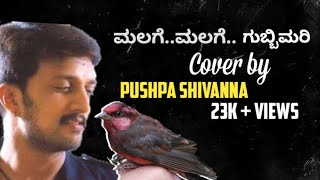 Malage Malage Gubbi Mari from Nalla short cover by Pushpa Shivanna [upl. by Eilatam665]