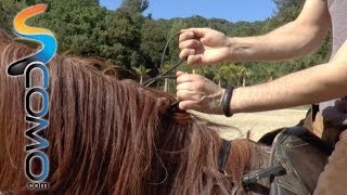 Cómo coger las riendas del caballo  Tutorial hípica [upl. by Sairtemed226]