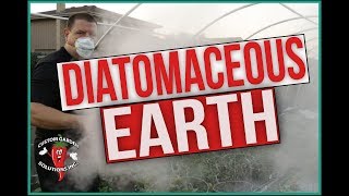 Diatomaceous Earth in the Garden  What is DE and how to use it [upl. by Rubi]