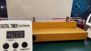 Transpiration Potometer Timelapse [upl. by Aivatal152]