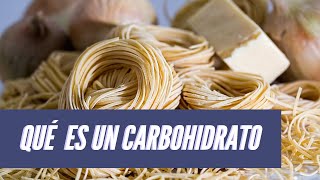 La Dieta Correcta y su Importancia para la Salud proteínas 🥩 carbohidratos 🍌 y lípidos 🥑 [upl. by Hildegard]