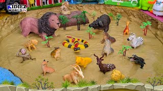 Big Lion amp Buffalo Stuck in Mud with Safari Animals  Kids Learning Safari Episode [upl. by Aljan889]