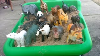 Learn Safari Wild ZOO Animals Names with Schleich And Safari Ltd TOY collectionPlaying With Sand [upl. by Ursa]