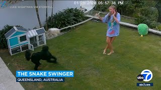 Wild video Girl 12 swings snake in frantic effort to save guinea pig [upl. by Pall746]