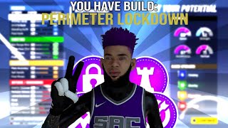 BEST PERIMETER LOCKDOWN BUILD IN NBA 2K21 CURRENT GEN HOW TO MAKE PERIMETER LOCKDOWN [upl. by Gundry]