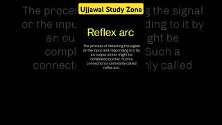 Reflex arc ujjawalstudyzone cbse ncert [upl. by Aja100]