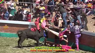 Gran corrida de toros San Pedro de totora ORURO 2022 [upl. by Pentheas337]