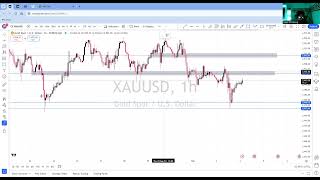 MARKET OUTLOOK FOR XAUUSD ON 04092024 [upl. by Margie728]